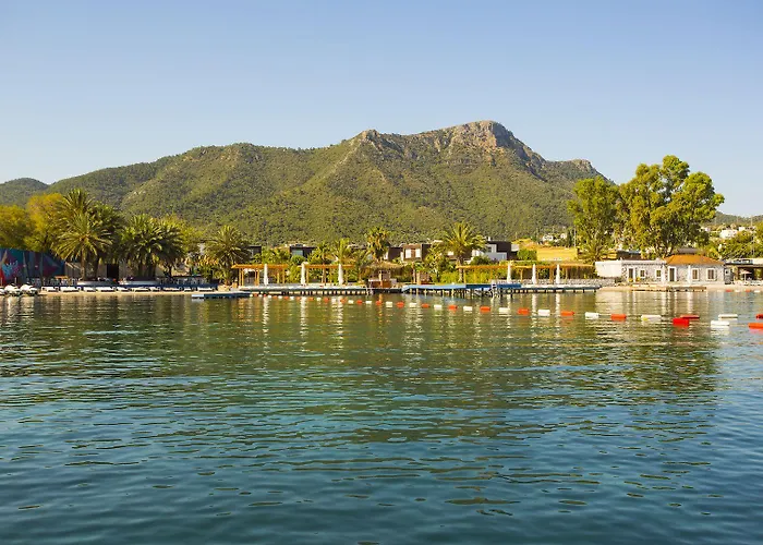 Ξενοδοχείο Flamm 3*